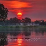 Avatar of Owais Siddiqui